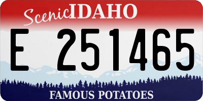 ID license plate E251465