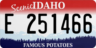 ID license plate E251466