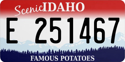 ID license plate E251467