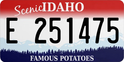 ID license plate E251475