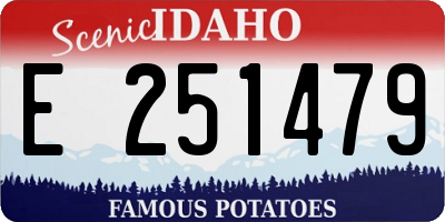 ID license plate E251479