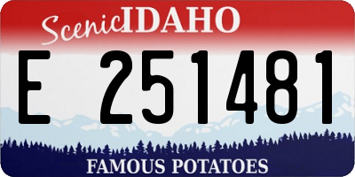 ID license plate E251481