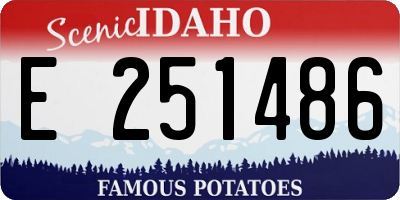 ID license plate E251486