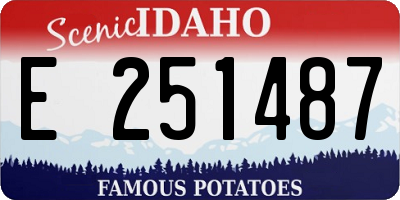 ID license plate E251487