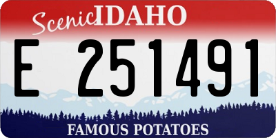 ID license plate E251491