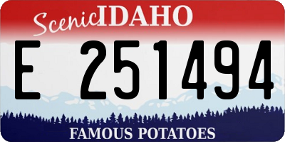 ID license plate E251494