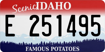 ID license plate E251495