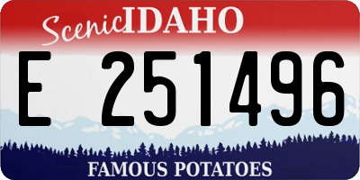 ID license plate E251496