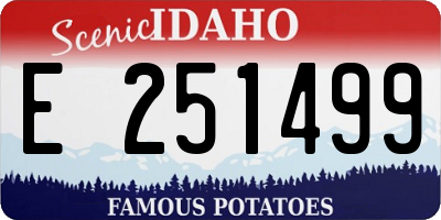 ID license plate E251499