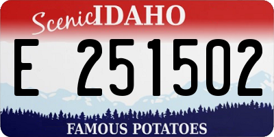 ID license plate E251502