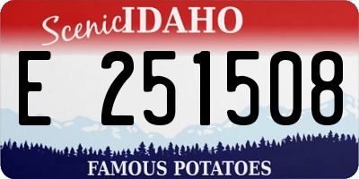 ID license plate E251508