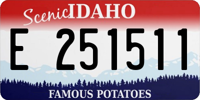 ID license plate E251511