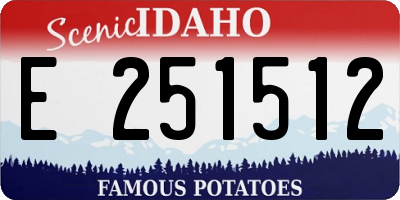 ID license plate E251512