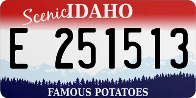 ID license plate E251513