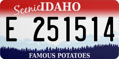 ID license plate E251514