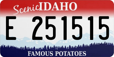 ID license plate E251515
