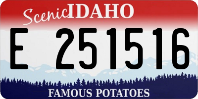 ID license plate E251516