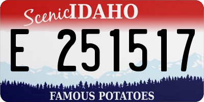 ID license plate E251517