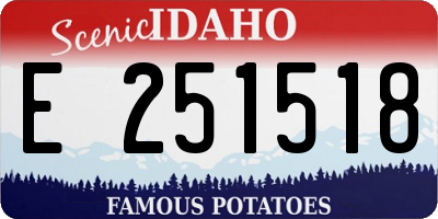 ID license plate E251518
