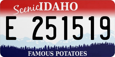 ID license plate E251519