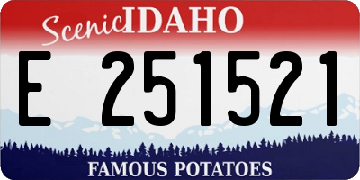 ID license plate E251521