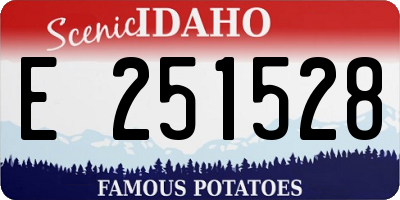 ID license plate E251528