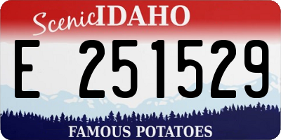 ID license plate E251529