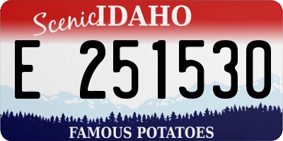 ID license plate E251530