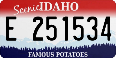 ID license plate E251534