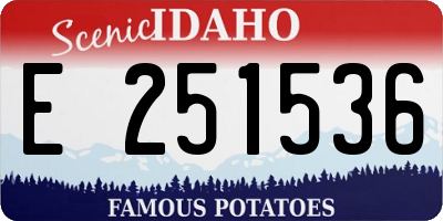 ID license plate E251536