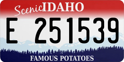 ID license plate E251539