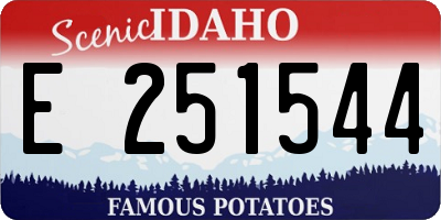 ID license plate E251544