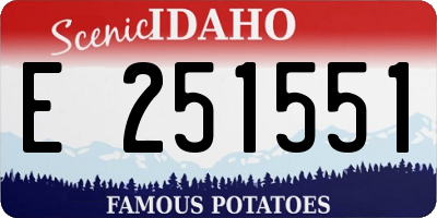 ID license plate E251551