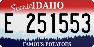ID license plate E251553