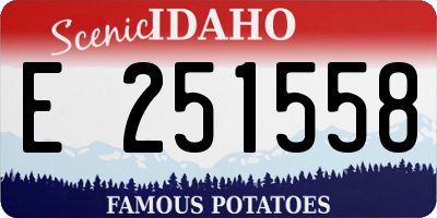 ID license plate E251558