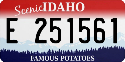 ID license plate E251561