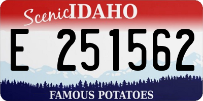 ID license plate E251562