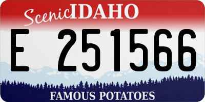 ID license plate E251566