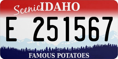 ID license plate E251567