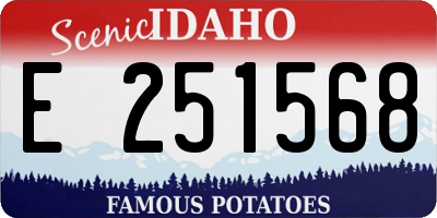 ID license plate E251568