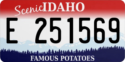 ID license plate E251569