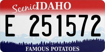 ID license plate E251572