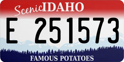 ID license plate E251573