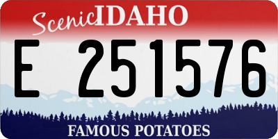 ID license plate E251576