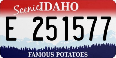 ID license plate E251577