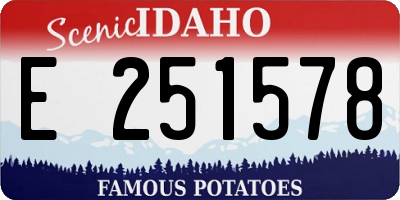 ID license plate E251578