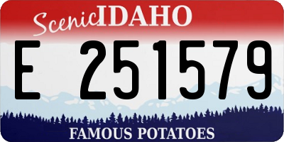 ID license plate E251579