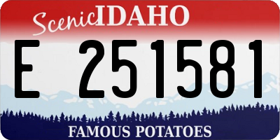 ID license plate E251581