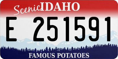 ID license plate E251591