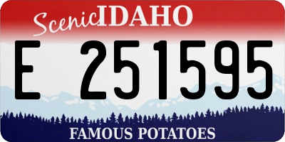 ID license plate E251595